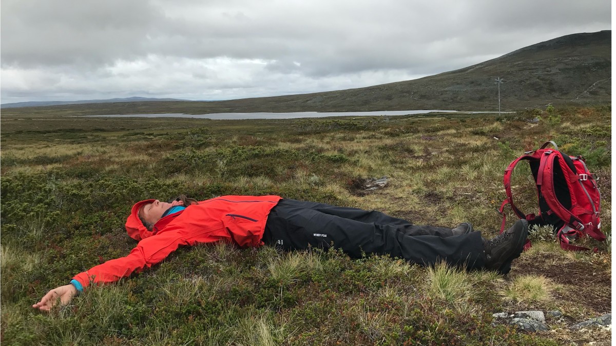 Din intelligenta kropp