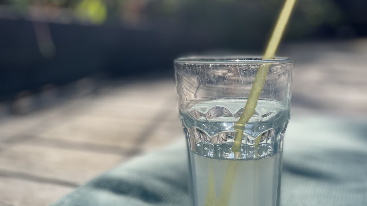 Ayurveda - hur yogans systervetenskap har förändrat mitt liv.