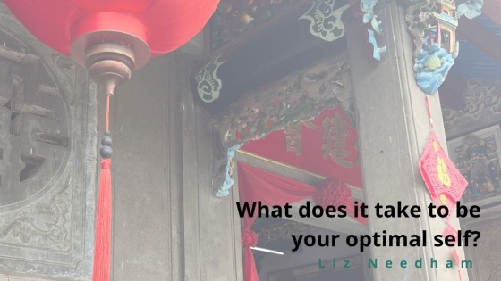 🧘‍♀️ What does it take to be your optimal self? 🩺