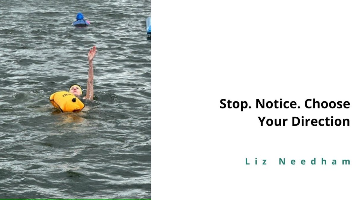 Stop. Notice. Choose your Direction to Lead From Wisdom