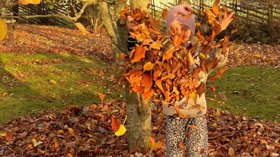 Nylyckans nyhetsbrev november 2025 - inspiration för din trädgård