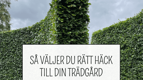 Gratis guide om att välja häck