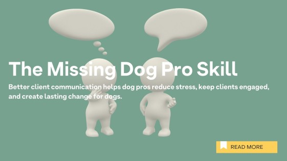 The Missing Dog Pro Skill