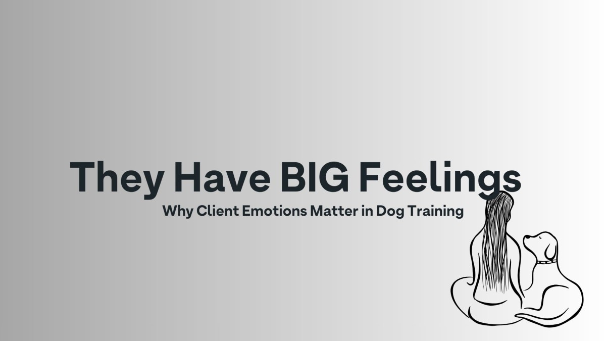 They Have BIG Feelings: Why Client Emotions Matter in Dog Training