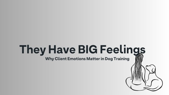 They Have BIG Feelings: Why Client Emotions Matter in Dog Training