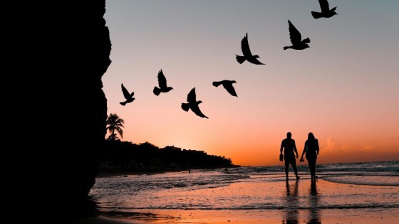 Pari- ja ihmissuhteiden totuustesti