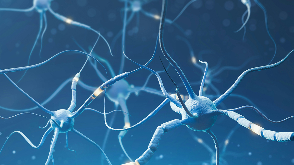 Neuroplasticity and the brain – why listening to affirmations actually works