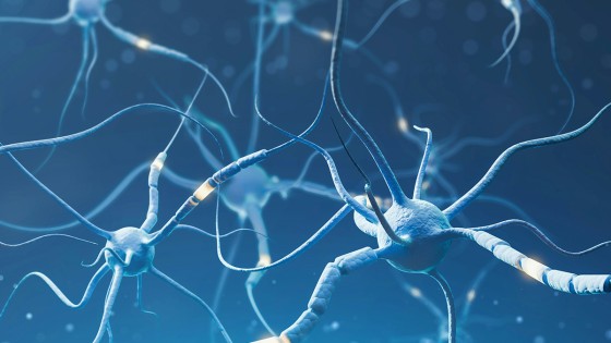 Neuroplasticity and the brain – why listening to affirmations actually works