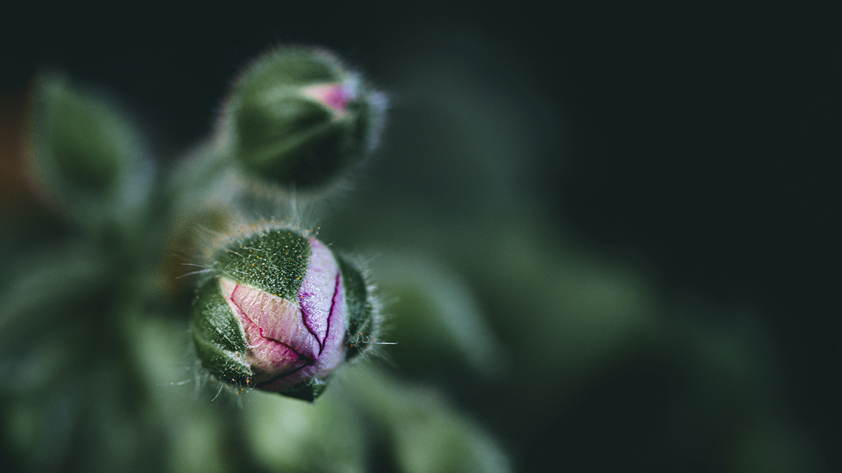 Scarcity thinking was holding me back