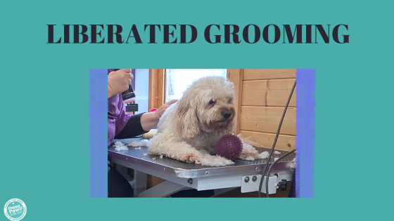 Liberated Grooming