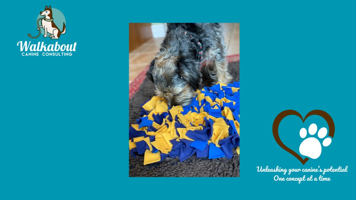 Winter Enrichment & Nosework for Dogs
