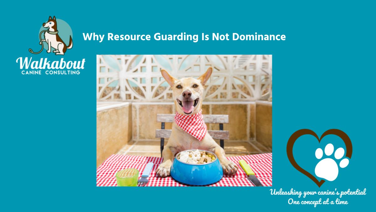 Why Resource Guarding Is Not Dominance
