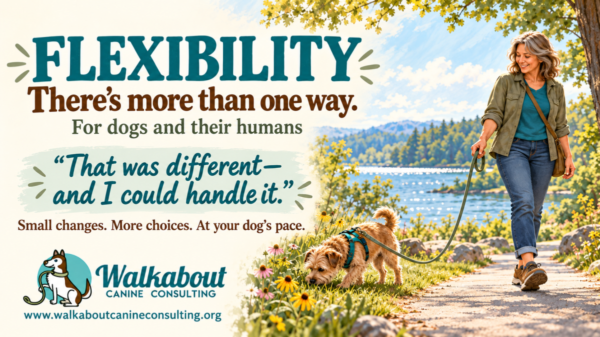 Flexibility for Dogs and Humans