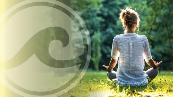 "I can't take time away from work": How Summit Ashore Can Help You Become Restored