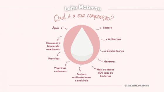 Composição do leite materno