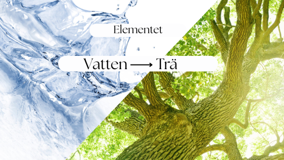 Elementet Vatten - trä (sen vinter)