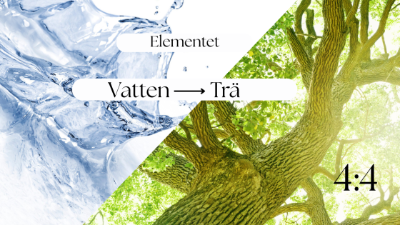 Elementet Vatten - trä (sen vinter) 4:4