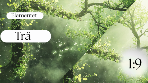 Elementet Trä - Våren 1:9