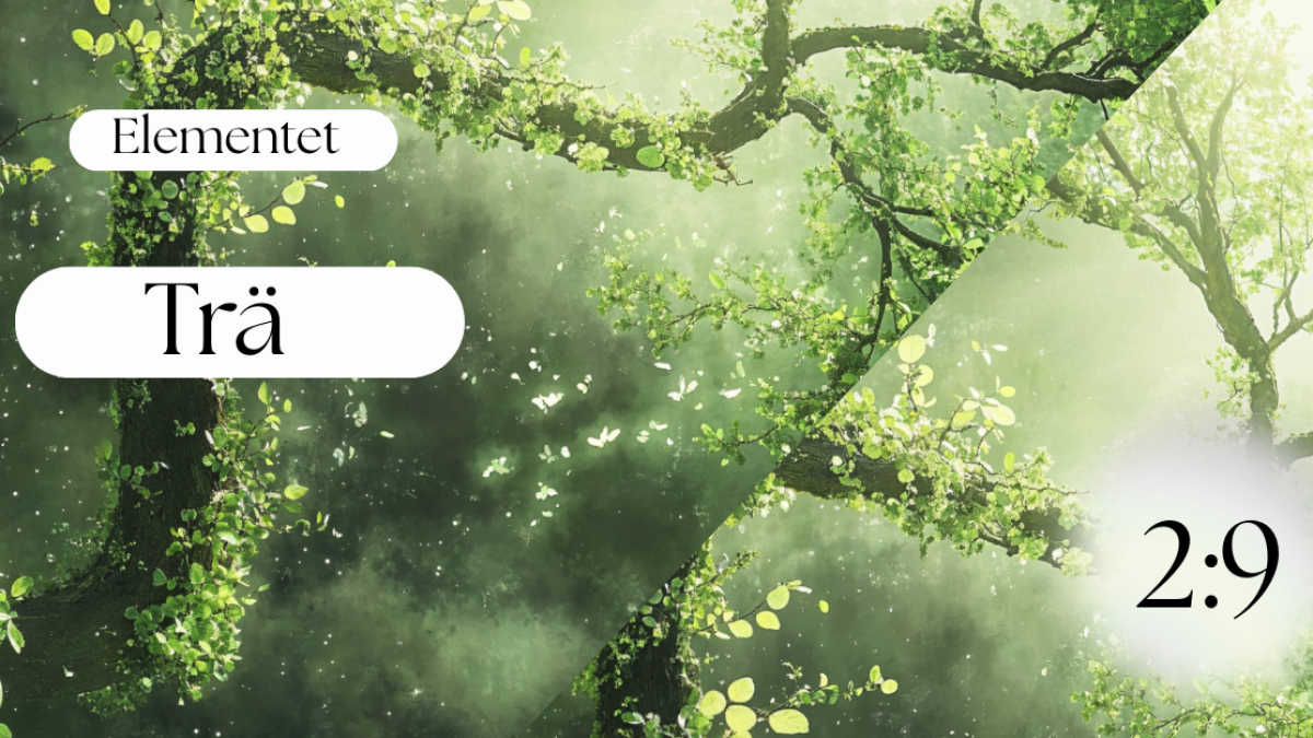Elementet Trä - Våren 2:9