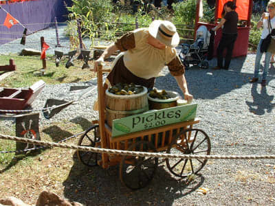 PickleMan.jpg