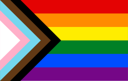 LGBTQ-_rainbow_flag_Quasar_-22Progress-22_variant.svg.png