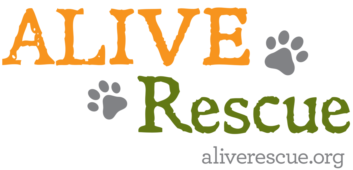 ALIVE_LOGO_color.png