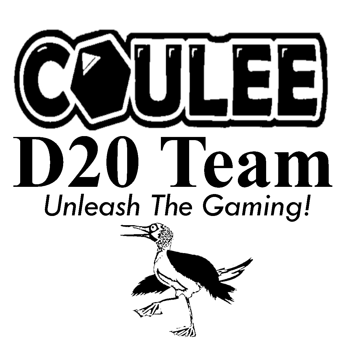 Coulee-d20-team.png