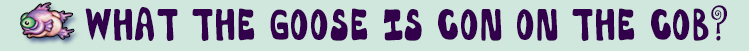 WHATTHE.jpg