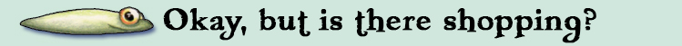 shopping.jpg