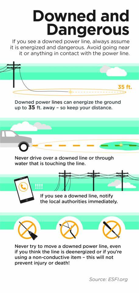 Downed and Dangerous Image: If you see a downed power line, always assume it is energized and dangerous. Avoid going near it or anything in contact with the power line.