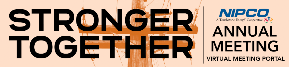 graphic logo of the 2021 NIPCO Annual Meeting "Stronger Together"