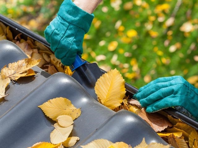 cleaning gutters