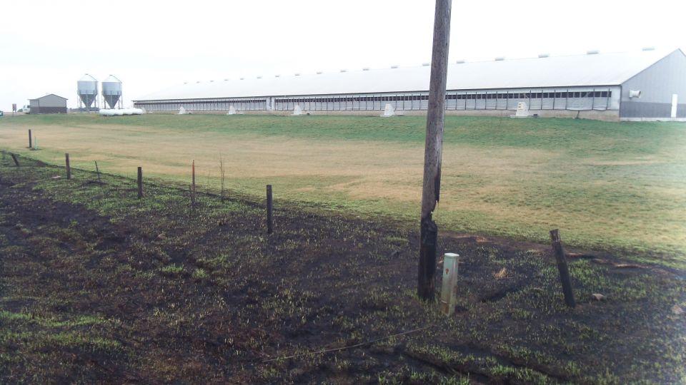 burned pole surrounded by burned vegetation