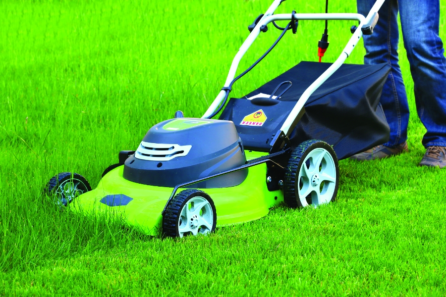 Photo of an electric lawn mower