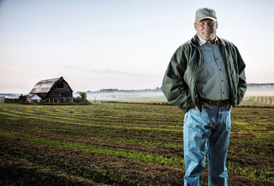 Older farmer standing in his field with shoots of corn coming up