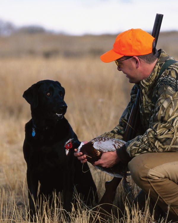 hunter with gun and dog