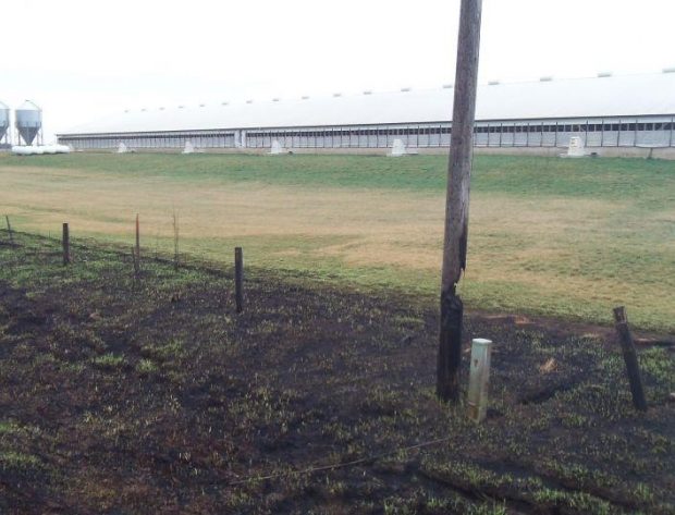 pole burned surrounded by burned vegetation