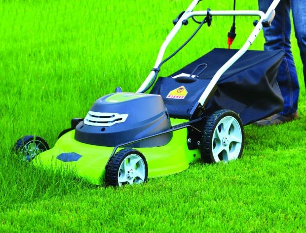 Photo of electric lawn mower