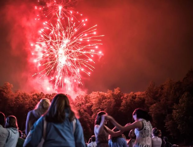 people watching fireworks display