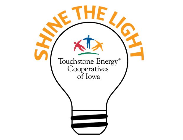 Shine the Light bulb logo