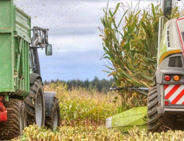 equipment harvesting corn