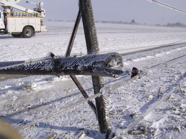 Downed power line in the snow