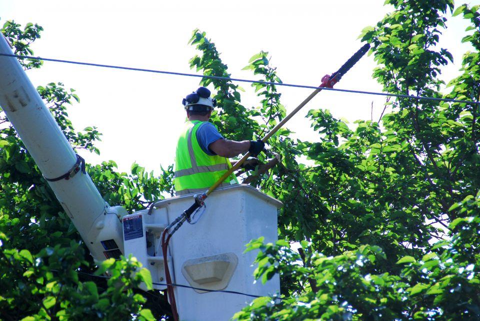 lineman in bucket trimming tree near power lines