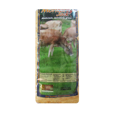 Queso Monterey Jack X kg