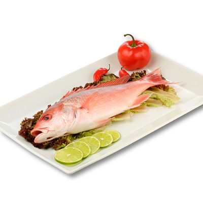 imagen Pargo Platero