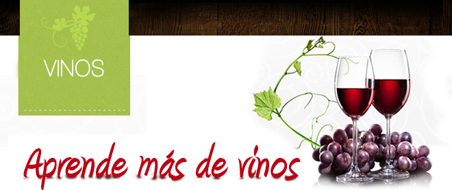 Vino Tinto Santa Rita Reserva Merlot 750 ml
