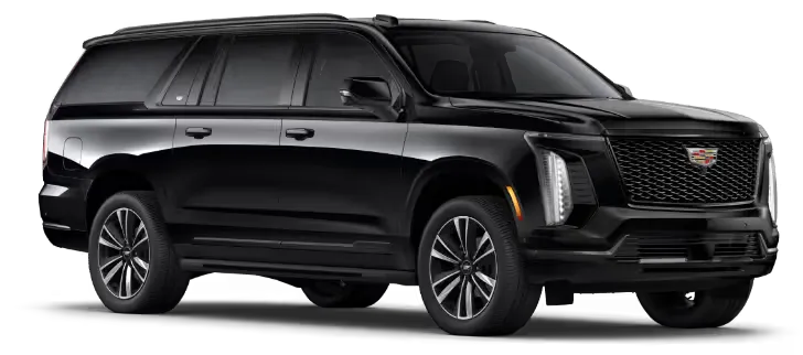 Limousine Transportation