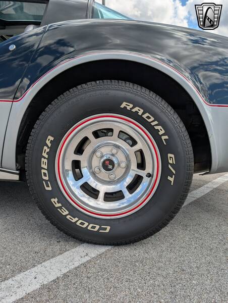 1978 Corvette 1978 Indy Pace Car Edition picture #7