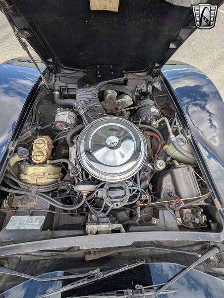 1978 Corvette 1978 Indy Pace Car Edition picture #10