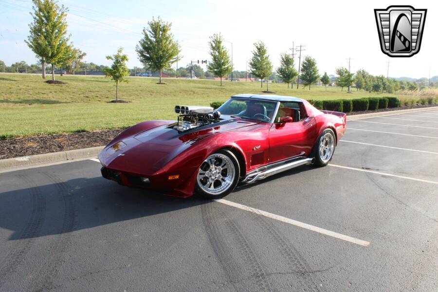1979 Corvette picture #13